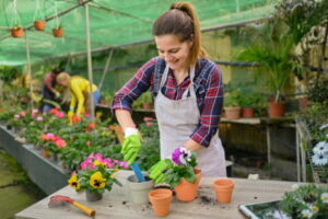 female-gardener-planting-pansy-flowers-in-pots-in-2022-09-30-16-40-05-utc – Copy (2) – Copy