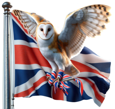 A barn owl with Union Jack coloured feathers is perched ready to fly.