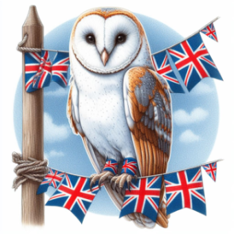A barn owl is perched on a bunting of Union Jacks and one flag is missing.
