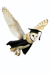 professor bary owl